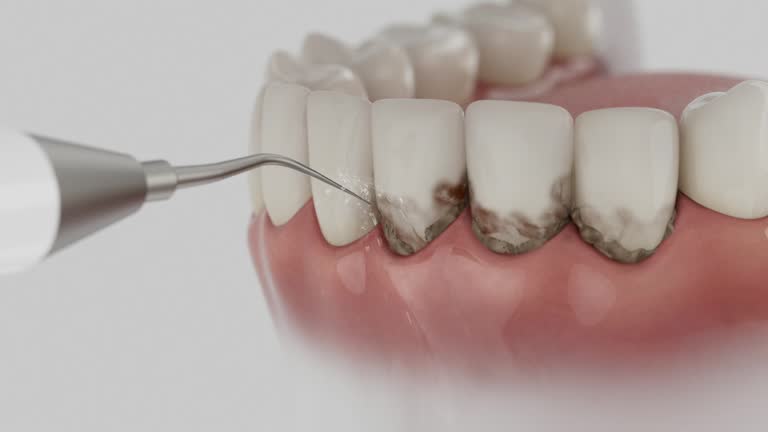 Reliable Dental contractor in Gulfport, MS by Dentist Open Now